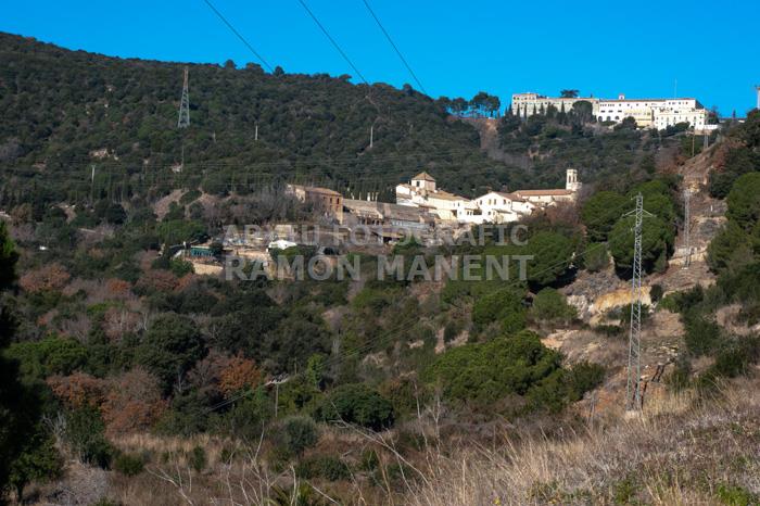 CARTOIXA DE MONTALEGRE S XV TIANA