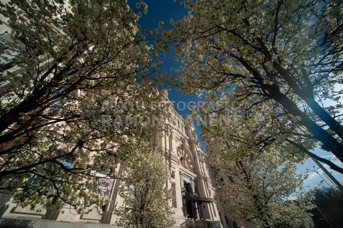 PALACIO DE COMUNICACIONES O DE CIBELES 
MADRID