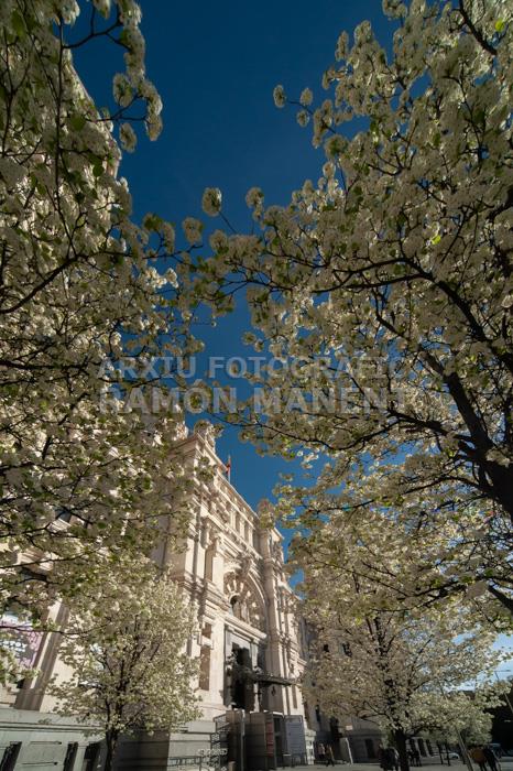 PALACIO DE COMUNICACIONES O DE CIBELES 
MADRID