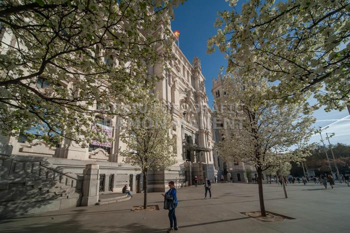 PALACIO DE COMUNICACIONES O DE CIBELES 
MADRID
