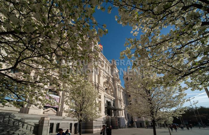 PALACIO DE COMUNICACIONES O DE CIBELES 
MADRID