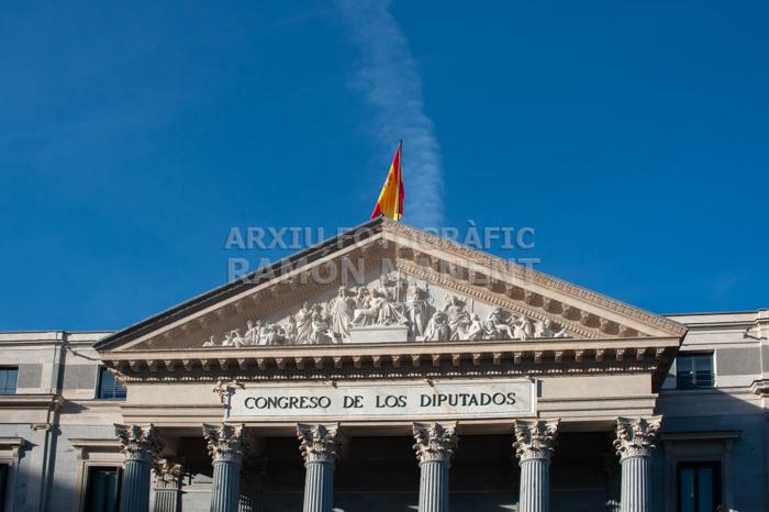 CONGRESO DE LOS DIPUTADOS 
MADRID