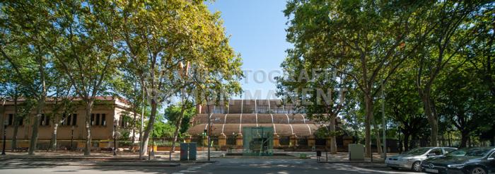 UMBRACLE PARC DE LA CIUTADELLA 
MONUMENT A PICASSO