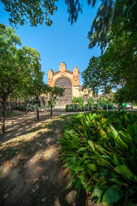 PARC DE LA CIUTADELLA HIVERNACLE
