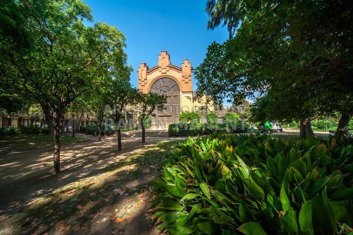 PARC DE LA CIUTADELLA HIVERNACLE