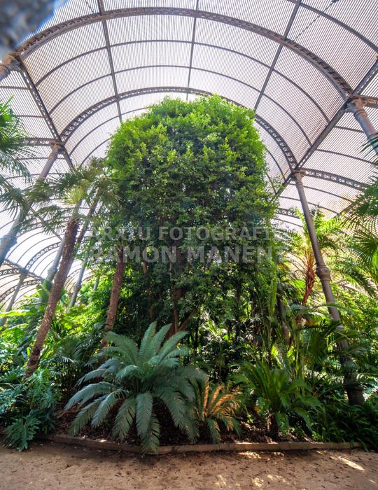 PARC DE LA CIUTADELLA HIVERNACLE