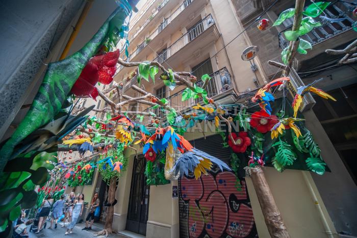 FESTA MAJOR DE GRÀCIA CARRERS GUARNITS