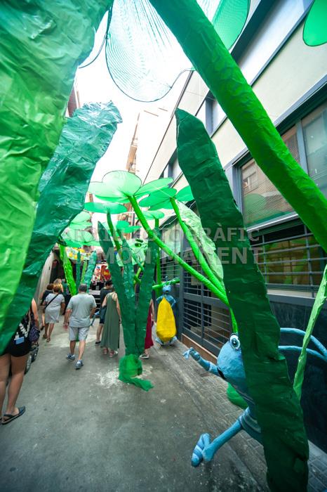 FESTA MAJOR DE GRÀCIA CARRERS GUARNITS