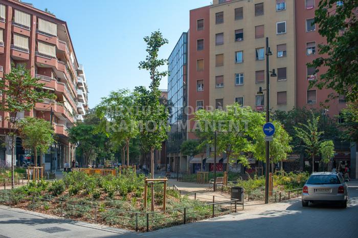 CARRER CONSELL DE CENT 
ILLES VERDES