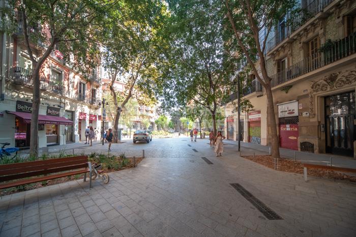 CARRER CONSELL DE CENT 
ILLES VERDES