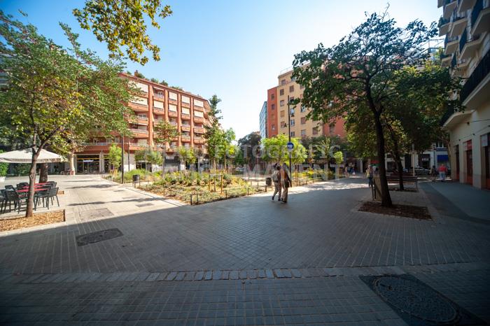 CARRER CONSELL DE CENT 
ILLES VERDES