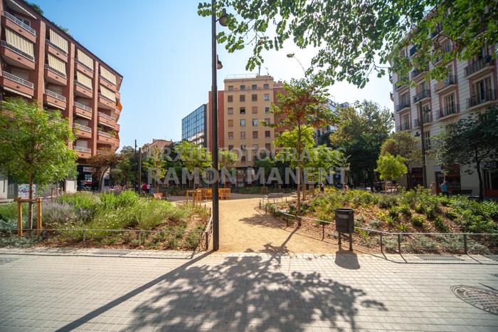 CARRER CONSELL DE CENT 
ILLES VERDES