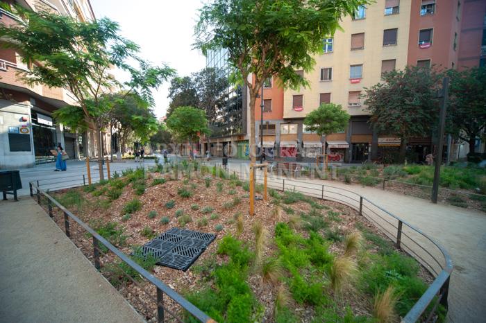 CARRER CONSELL DE CENT 
ILLES VERDES