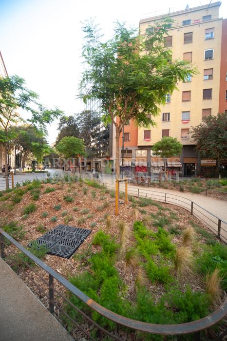 CARRER CONSELL DE CENT 
ILLES VERDES