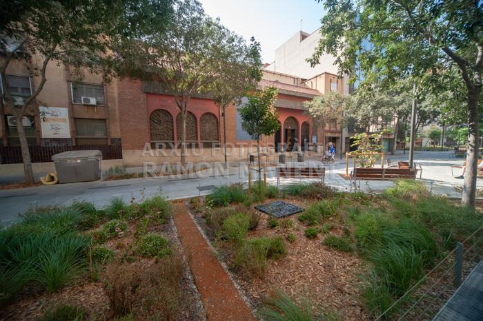 CARRER CONSELL DE CENT 
ILLES VERDES