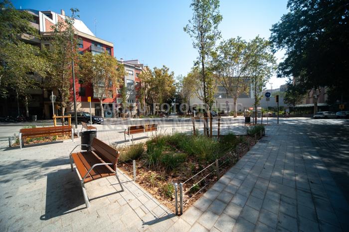 CARRER CONSELL DE CENT 
ILLES VERDES