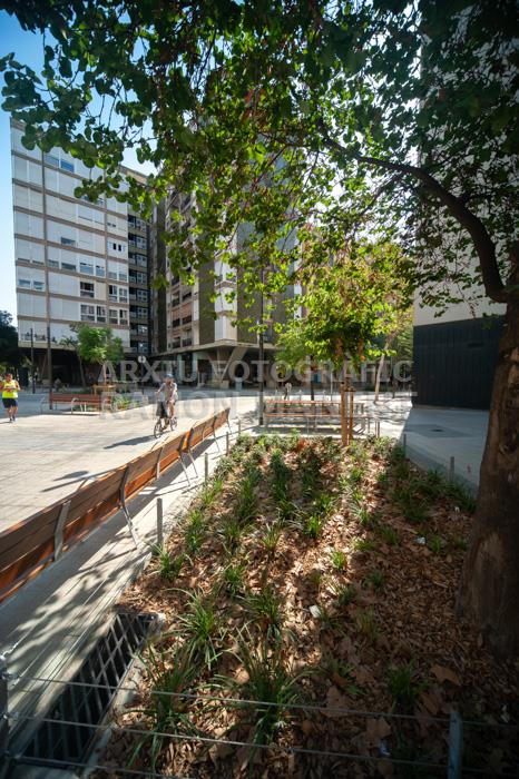 CARRER CONSELL DE CENT 
ILLES VERDES