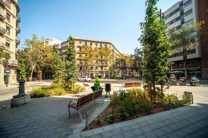 CARRER CONSELL DE CENT 
ILLES VERDES