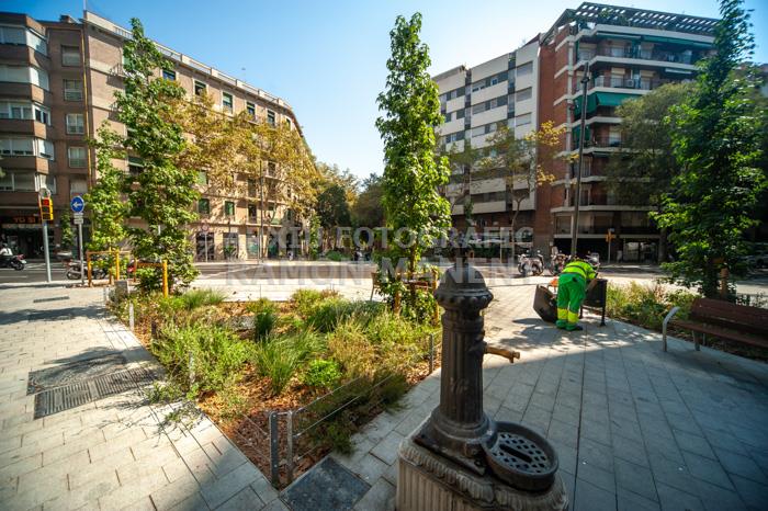 CARRER CONSELL DE CENT 
ILLES VERDES