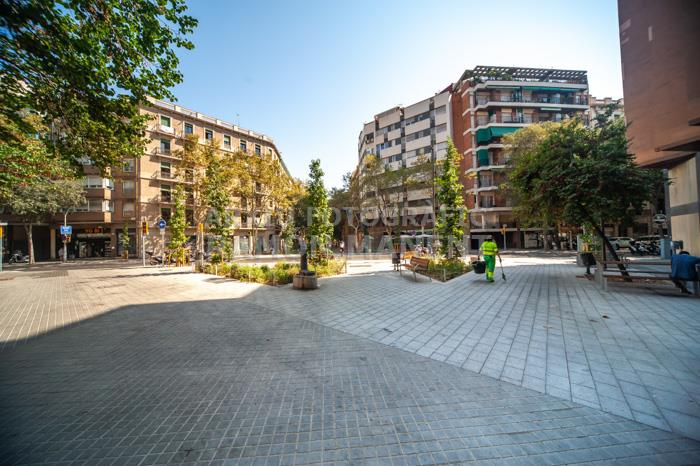 CARRER CONSELL DE CENT 
ILLES VERDES