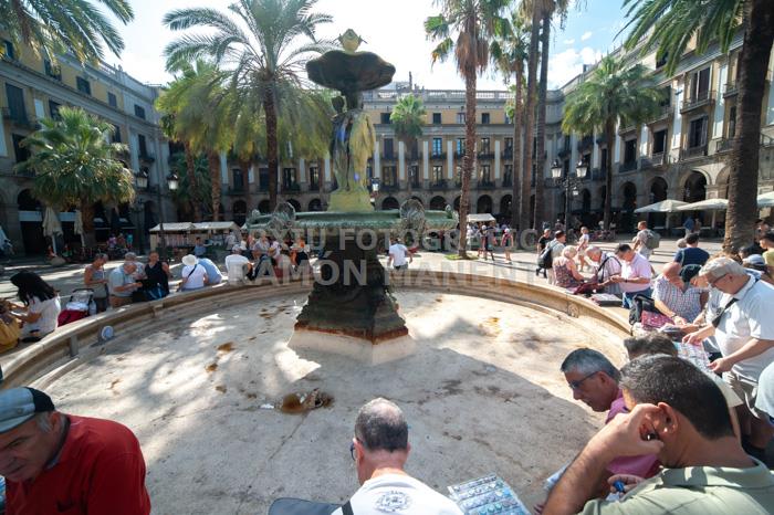 PLAÇA REIAL MERCAT DE MONEDES I MEDALLES