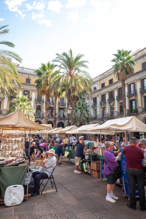 PLAÇA REIAL MERCAT DE MONEDES I MEDALLES