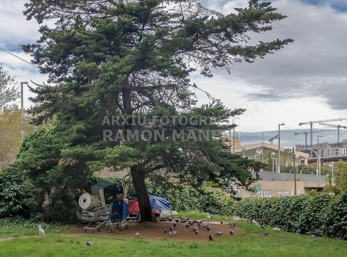 CAMPAMENT IDIGENTS COSTAT T N C