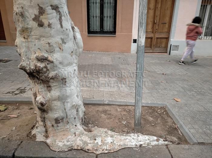 PLATANER CARRER ISERN MATARO