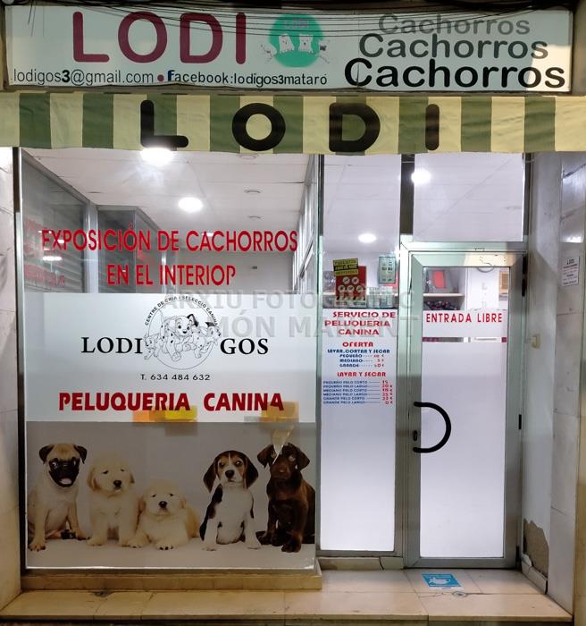 APARADOR BOTIGA PERRUQUERIA CANINA CARRER MARATHON MATARO