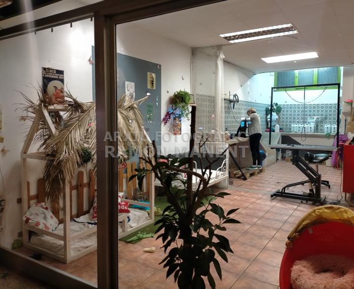 BOTIGA DE GOSSOS RONDA O´ONELL MATARO