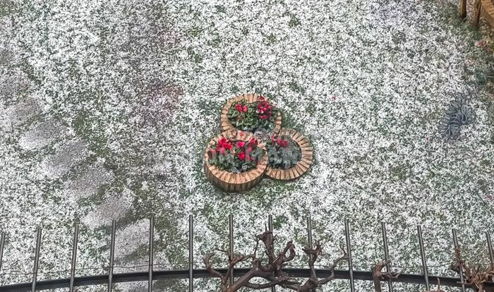 CALAMARÇADA MES DE FEBRER MATARO