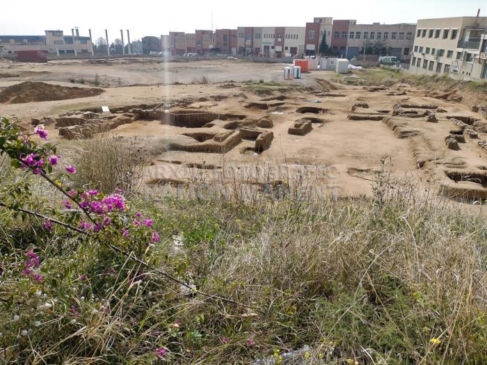 EXCAVACIONS A CA LA MADRONA MATARO 
GENER 2023