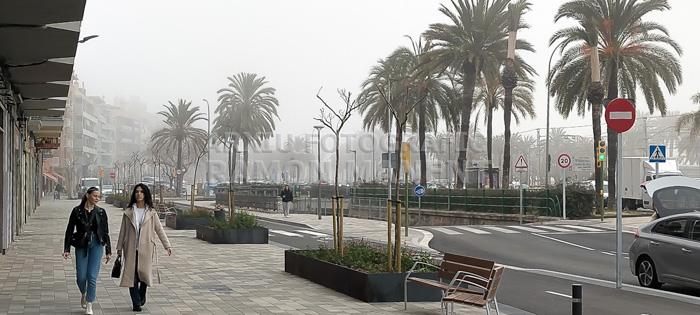 AVINGUDA MARESME 
DIA DE BOIRA MARÇ 2024