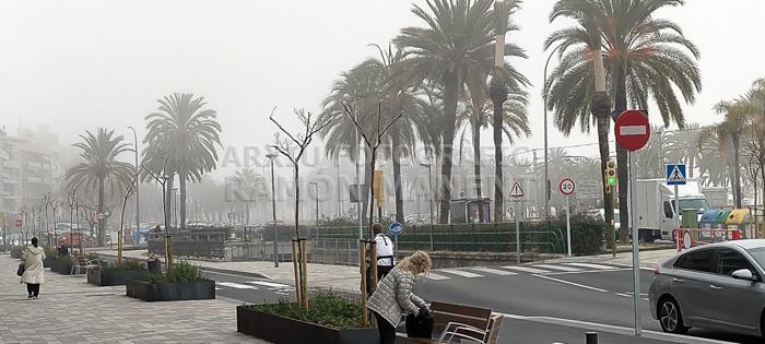 AVINGUDA MARESME 
DIA DE BOIRA MARÇ 2024