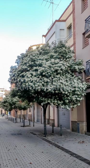 CARRER JOSEP CASTELLÀ MATARO