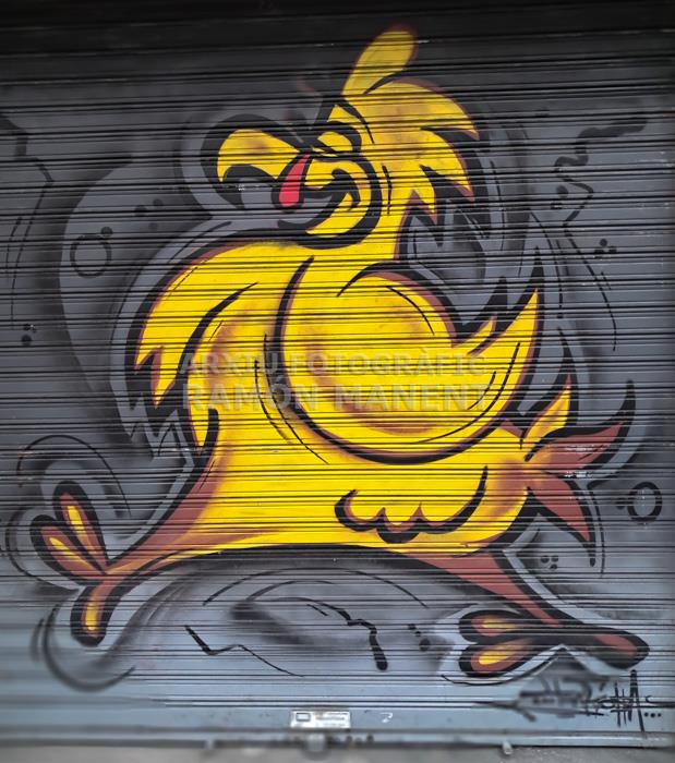 PORTA POLLERIA RONDA O´DONELL 
MATARO