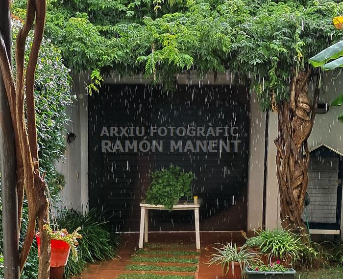 PLUJA