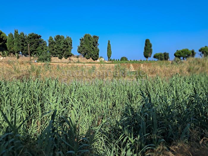 RIERA DE SANT SIMÓ MATARO