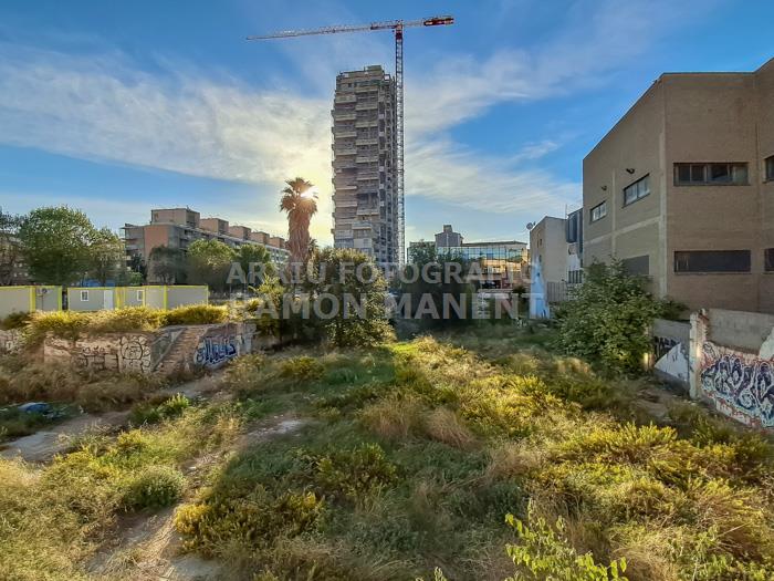 TORRE BARCELO MATARO