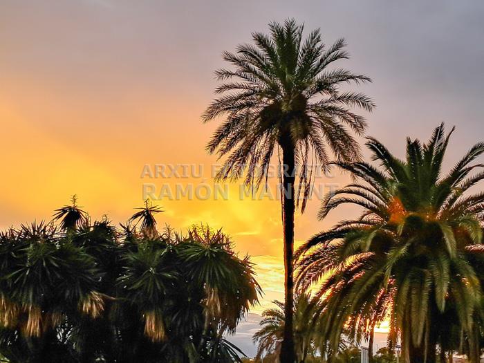 CAPVESPRE A LAIA L´ARQUERA MATARO