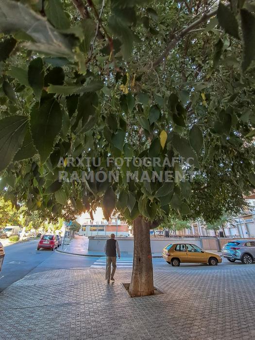 AVINGUDA FRANCESC MACIA MATARO