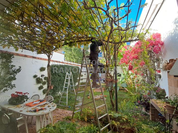 PATI CASA JOSEP CASTELLÀ 15 MATARO