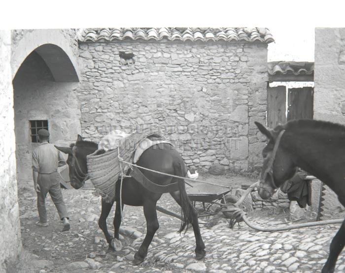 TORNANT DEL CAMP MIRAMBELL MAESTRAT
