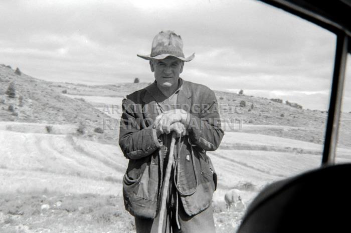 PASTOR AL PORT DE TORRE MIRÓ MAESTRAT